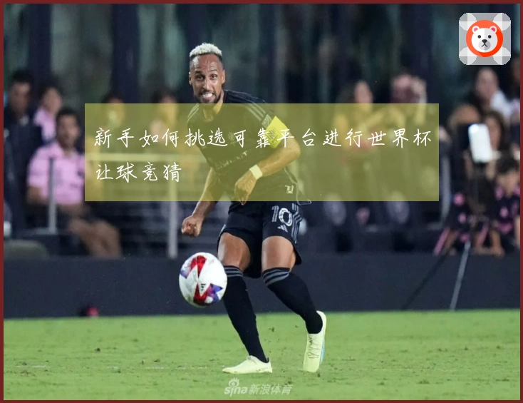 新手如何挑选可靠平台进行世界杯让球竞猜
