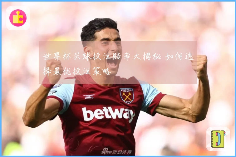 世界杯买球投注赔率大揭秘 如何选择最优投注策略