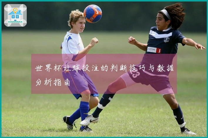 世界杯让球投注的判断技巧与数据分析指南