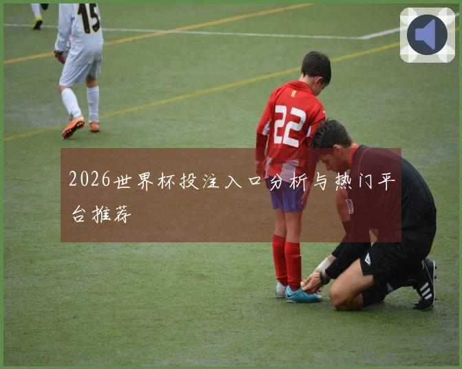2026世界杯投注入口分析与热门平台推荐