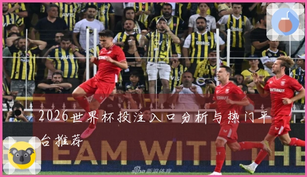 2026世界杯投注入口分析与热门平台推荐
