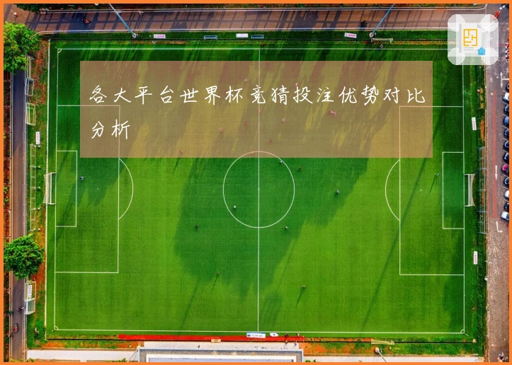 各大平台世界杯竞猜投注优势对比分析