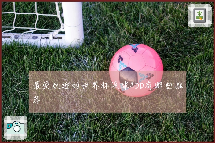 最受欢迎的世界杯滚球App有哪些推荐