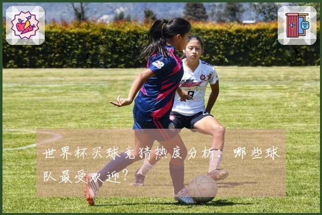 世界杯买球竞猜热度分析：哪些球队最受欢迎？