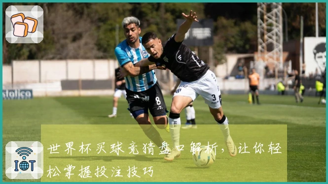 世界杯买球竞猜盘口解析，让你轻松掌握投注技巧