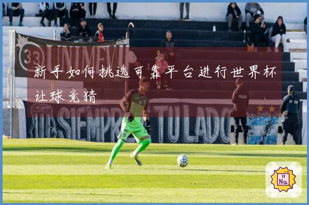 新手如何挑选可靠平台进行世界杯让球竞猜