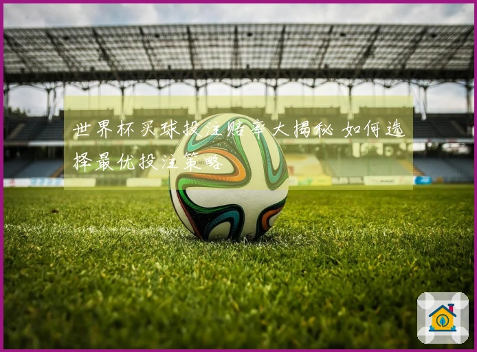 世界杯买球投注赔率大揭秘 如何选择最优投注策略